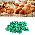 thumbnail image 3 of Bandas Para Patas De Pollo, 100 Piezas Anillos Para Patas De Pollo Color Brillante Fácil Operación Plástico Resistente Para Granja, 3 of 7