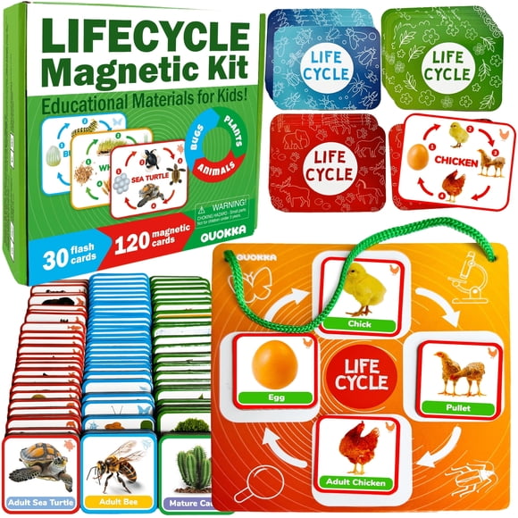 QUOKKA Kit de Cycle de Vie Jouet Montessori - 30 Cartes Flash Activités Scientifiques pour Tout-Petits de 2 à 4 Ans