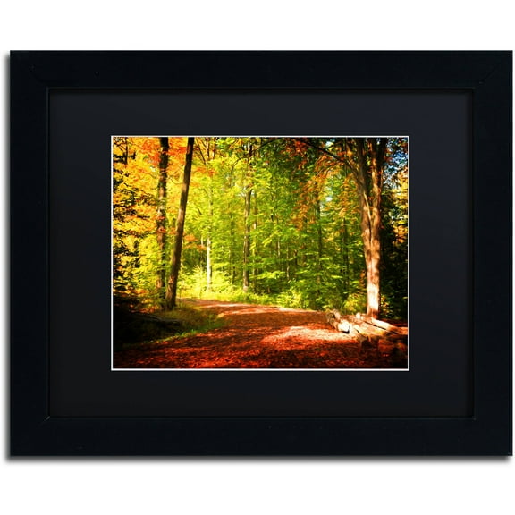 Trademark Fine Art "Breaking The Fall Silence" Canvas Art by Philippe Sainte-Laudy Black Matte, Black Frame