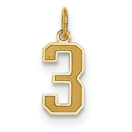 14k Yellow Gold Small Satin Number 3 Charm Pendant