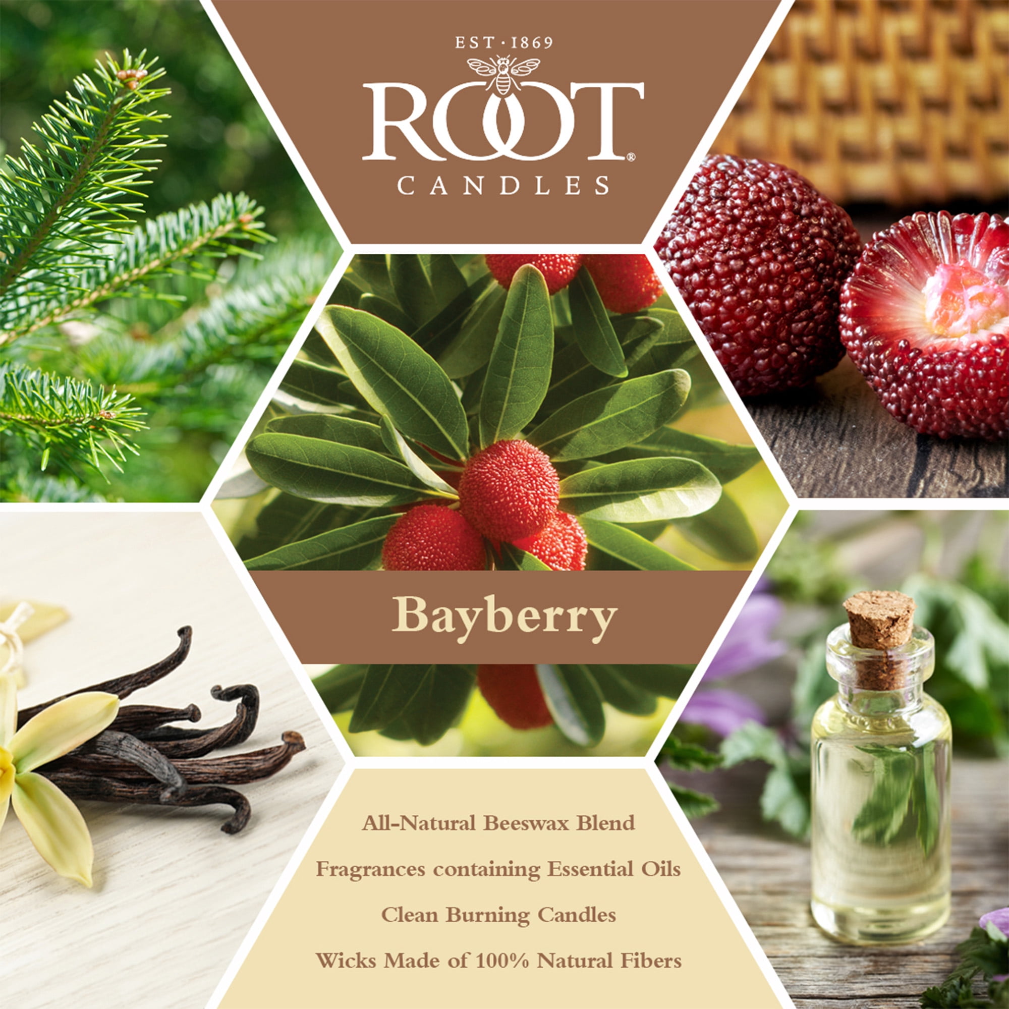 ROOT Candles 12 oz 3-Wick Signature Honeycomb filled Jar. Scent: Bayberry