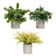thumbnail image 1 of Plantas artificiales en maceta Strade Fareast Limited 3 piezas, 1 of 5