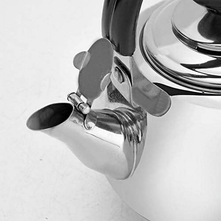 Aramco Alpine Cuisine Double Stainless Steel Tea Kettle with Strainer 