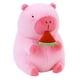 thumbnail image 3 of Carpincho de peluche de juguete, bonito animal de peluche de , decoración para habitación de niños, muñeco de de felpa suave y cómodo Sandía 20cm, 3 of 10