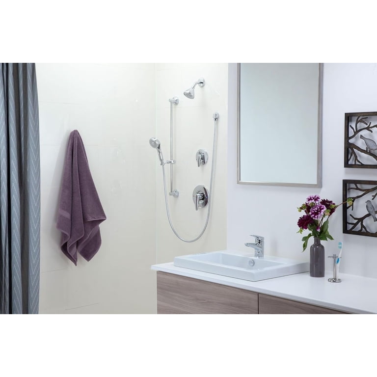 Moen commercial-style accessible bathroom faucet and shower