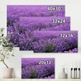 thumbnail image 4 of Designart ' Blooming Purple Lavender Meadow ' Farmhouse Canvas Wall Art Print, 4 of 4
