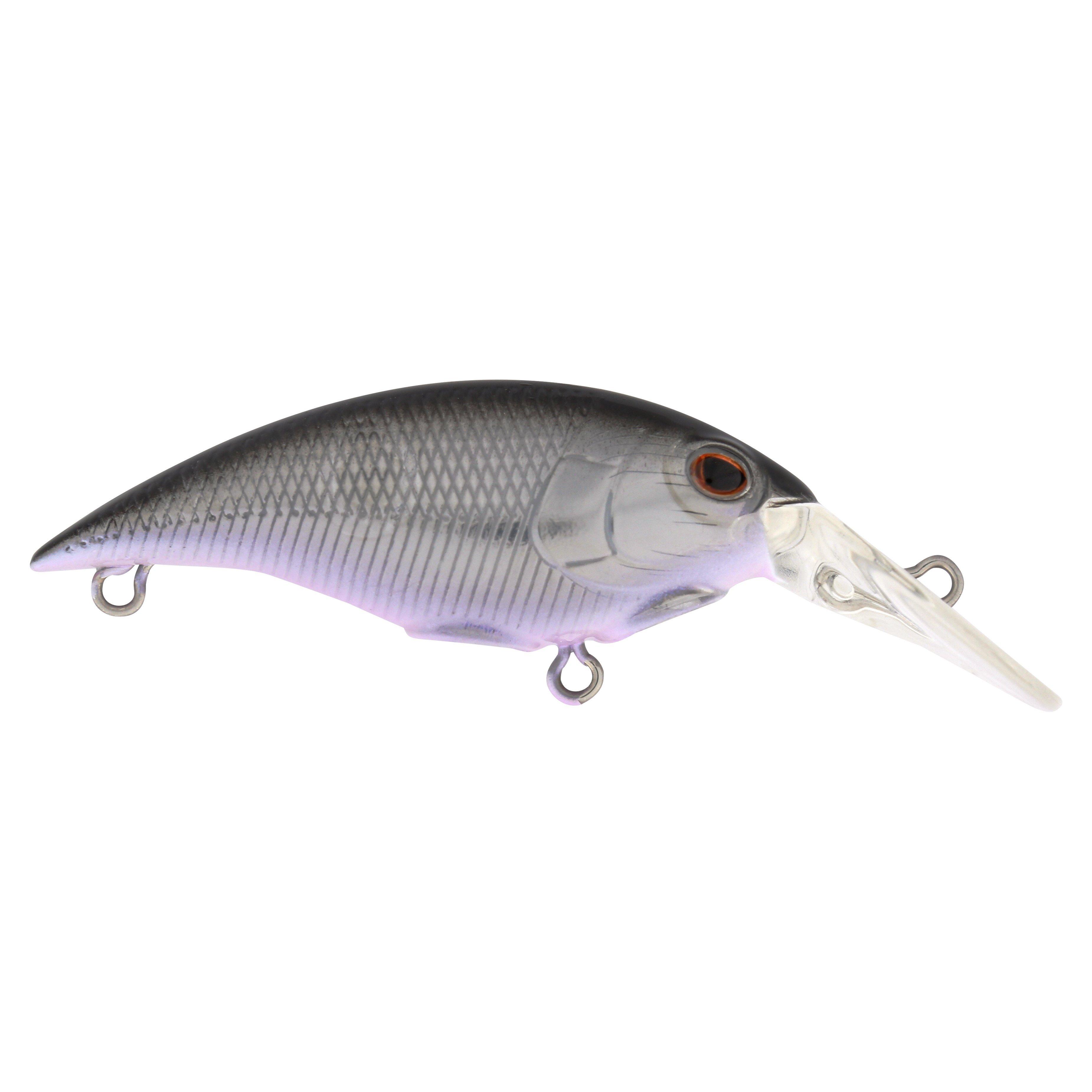 Berkley Money Badger, 4, Black Silver
