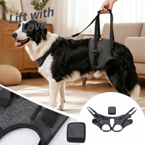 Dog Rear Lifting Harness, Adjustable Pet Support Sling for Hind Legs, Mobility Assist Harness for Senior, Injured & Disabled Dogs, Help with Walking Climbing Stairs