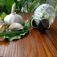 thumbnail image 2 of Garliczoom Garlic Chopper, One Size, Black, 2 of 5