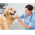 thumbnail image 5 of Cortaúñas para perros y gatos, cortaúñas para perros con lima de uñas, cortaúñas para perros profesionales y seguros, adecuado para mascotas grandes y medianas, azul, 5 of 5