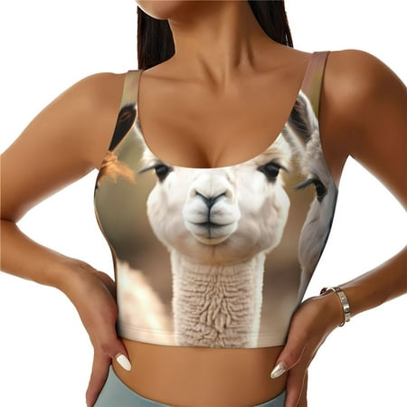 Qokaie Cute Alpaca in Daze Pattern Womens Scoop Neck Sports Bra Breathable Workout Vest Padded U Back Medium Impact Fitness Gym Yoga Bra Workout Crop Top-Large