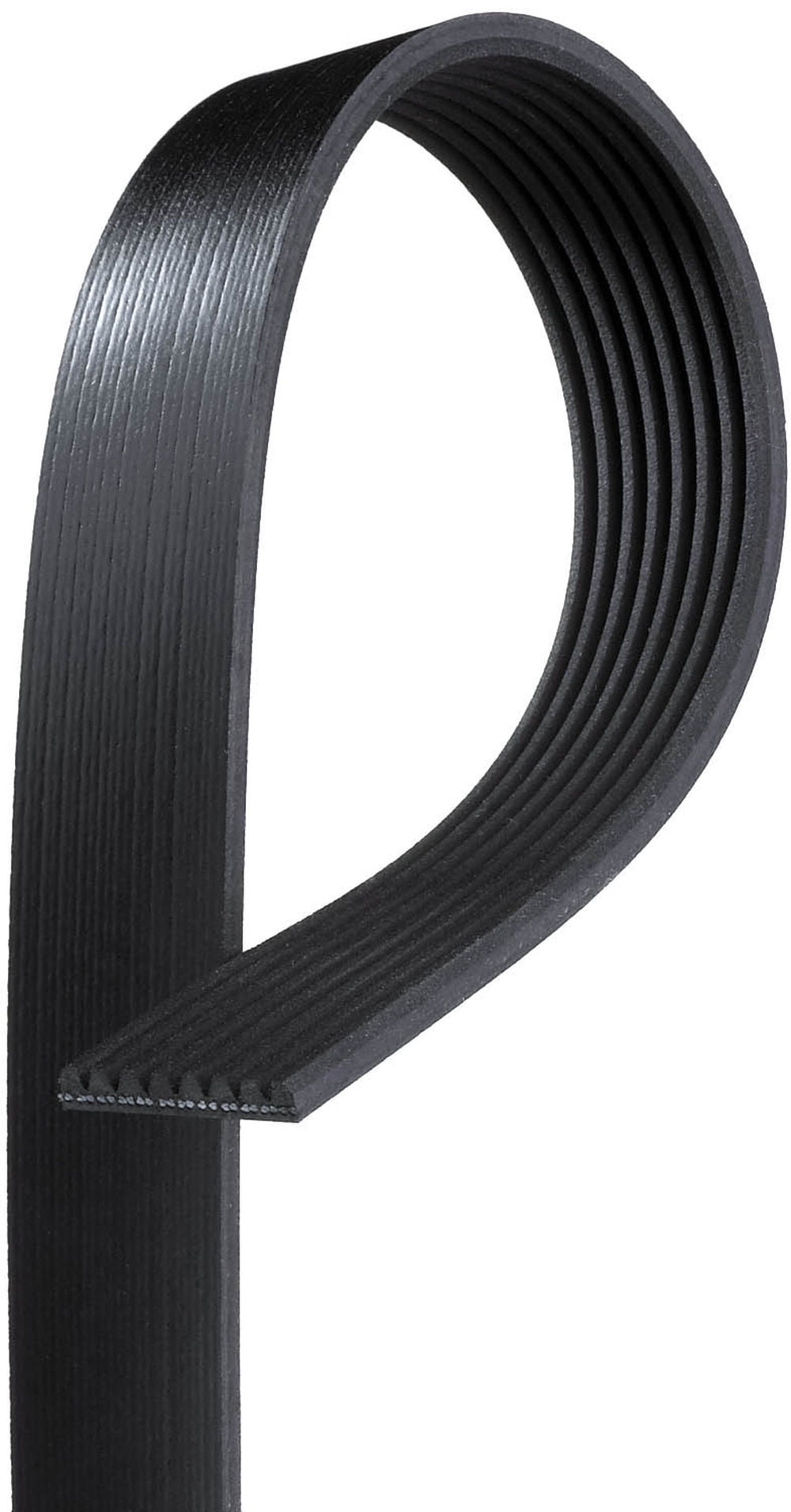 Gates K070721 Serpentine Belt Fits select: 2008-2012 HONDA ACCORD