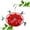 ZZ Red, variant on Zhi Automatic Hummingbird Feeder Outdoor Hanging Bird Feeding Device for Garden Yard