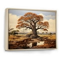 thumbnail image 2 of Designart "Baobab Dominated Savanna I" Tree Baobab Floater Framed Canvas Prints, 2 of 5