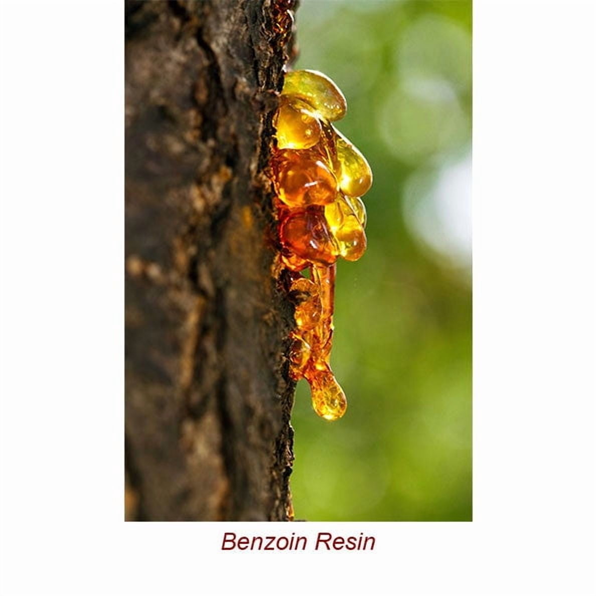 Benzoin Essential Oil 15 ml (1/2 fl oz) - 100% Pure and Natural by Silky Scents