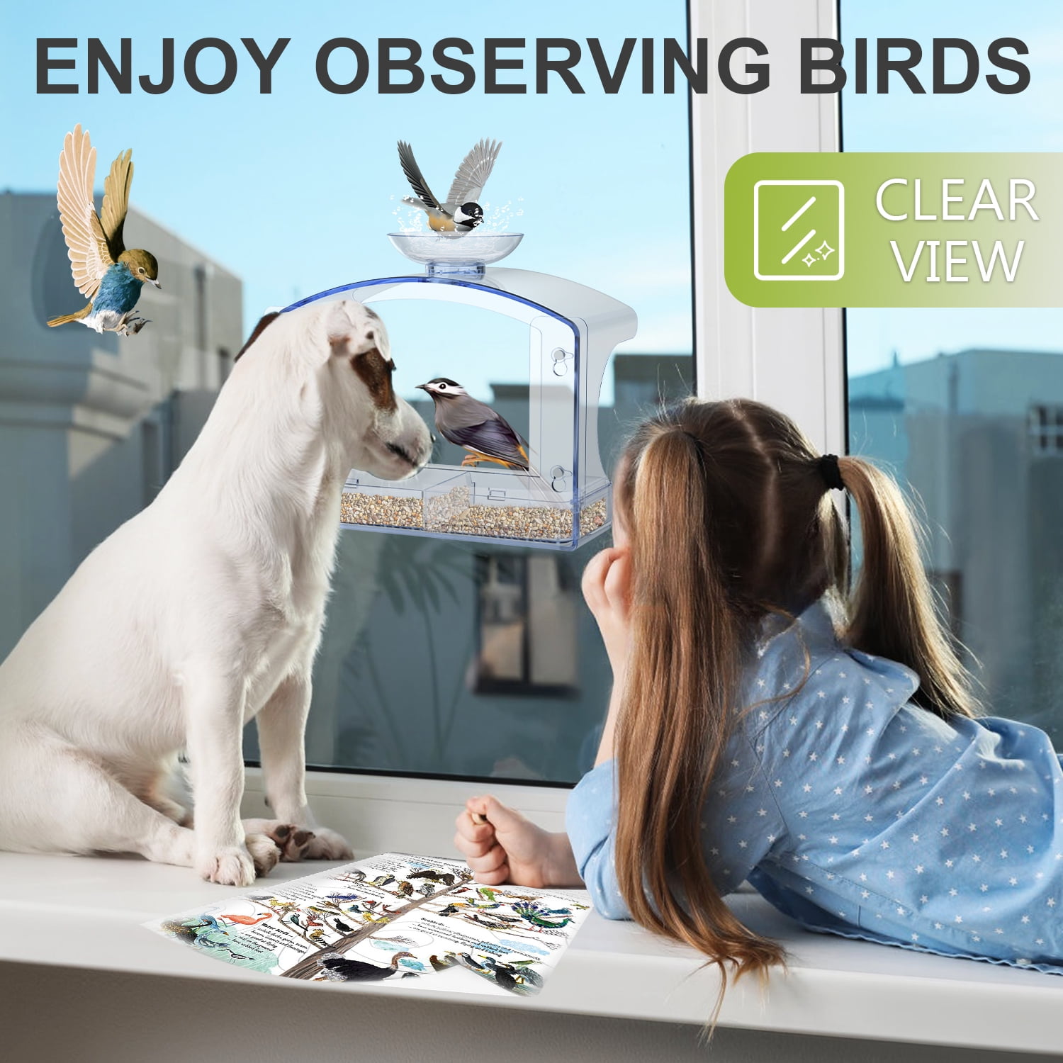 Window Bird Feeders Outside with 2 Non-Marking Self-Adhesive Hooks