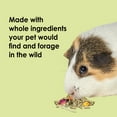 thumbnail image 4 of Kaytee Food from the Wild Guinea Pig Food, 4 Pounds, 4 of 11
