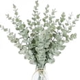 thumbnail image 2 of 10pcs Eucalyptus Stems Artificial Eucalyptus Leaves for Home Flowers Bouquet Centerpiece Wedding Decoration Christmas Decor, 2 of 10
