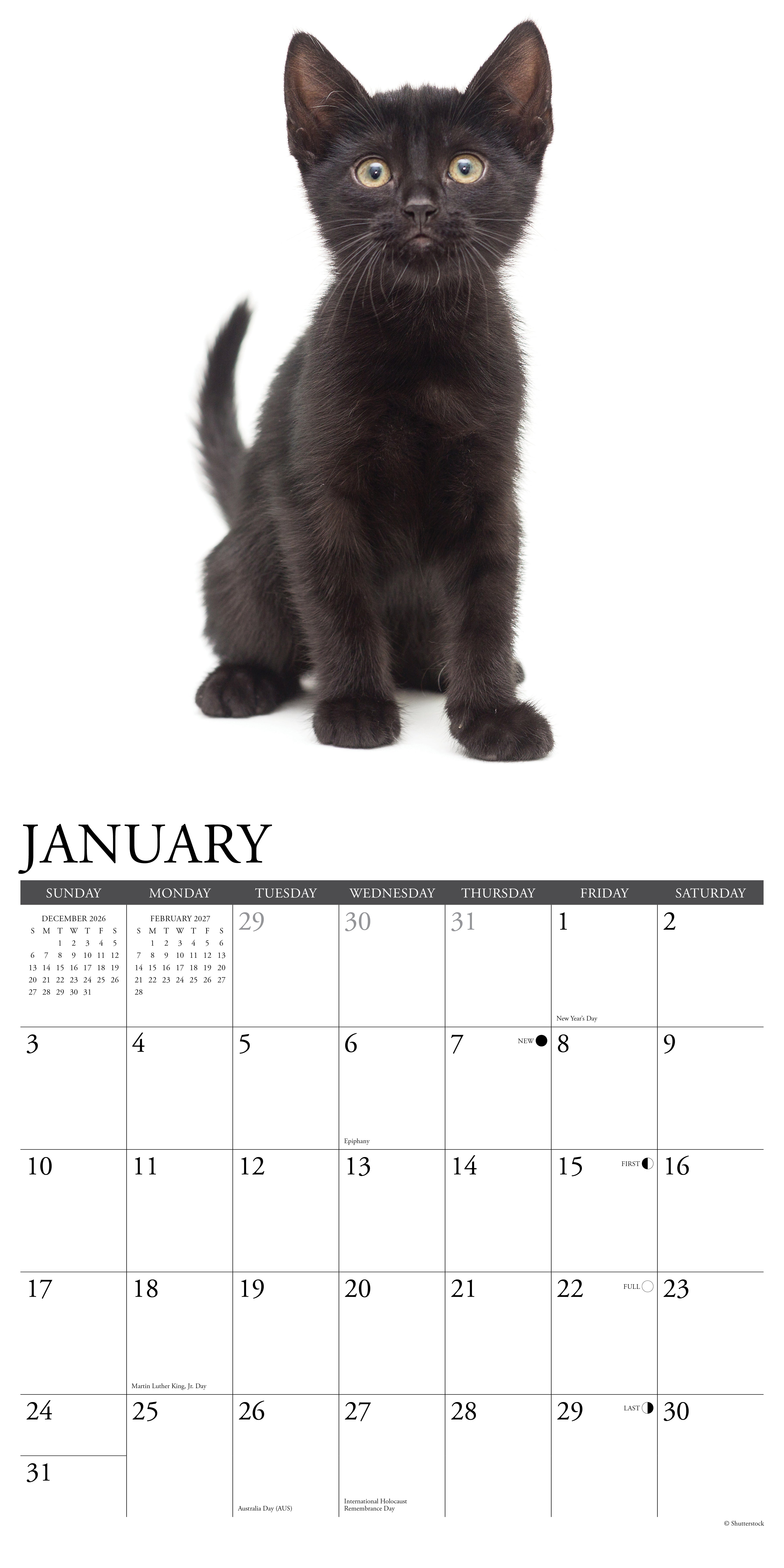 Willow Creek Press, Black Kittens 2027 Wall Calendar