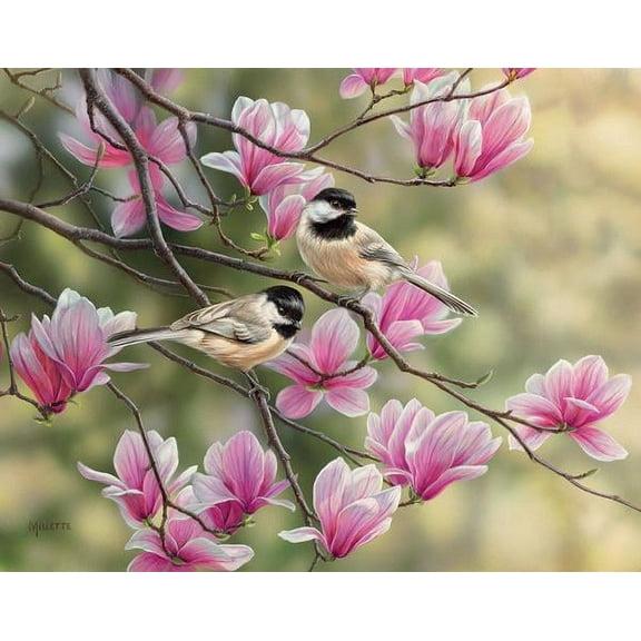 Chickadees & Spring Magnolias
