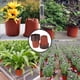 thumbnail image 4 of Muyoka Tazas de germinación de plántulas de vivero de plástico Littleduckling, macetas de nutrición para plantas de jardín, contenedor para cultivo de flores Muyoka Hogar, 4 of 7
