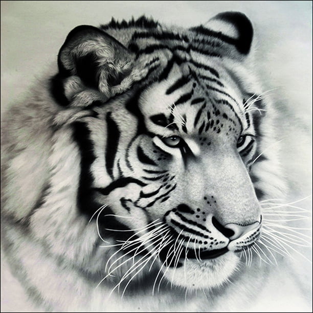 Full Drill Tiger 5D Diamond DIY Kit de pintura artesanal Decoración para el hogar FLhrweasw Nuevo