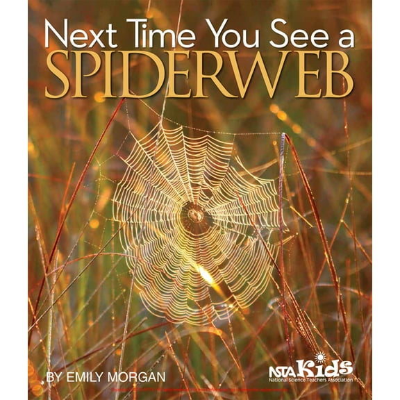 Next Time You See Next Time You See a Spiderweb, (Hardcover)