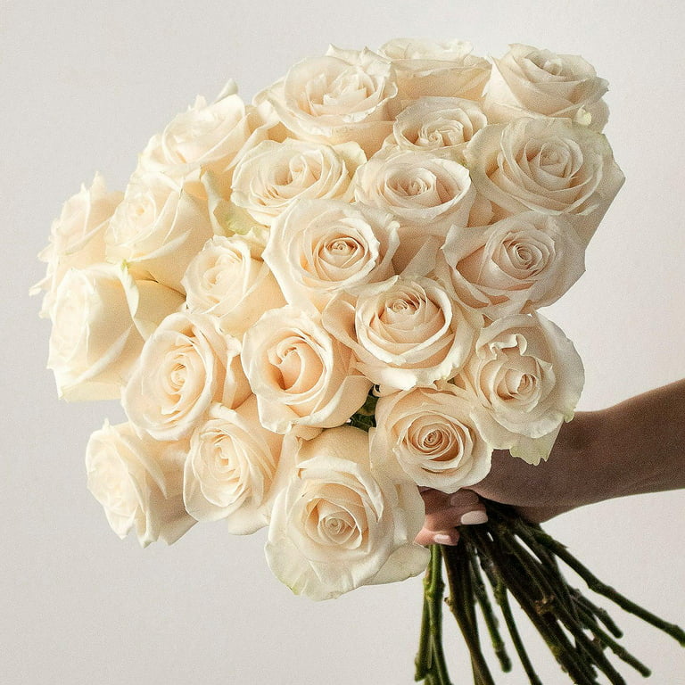 Bulk Flowers Fresh White Roses