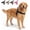 Black, variant on Escape Proof No Pull Tactical Dog Harness, Reflective Adjustable Vest With Handle, Front Clip & Sturdy D-Ring For Dog Walking And Training