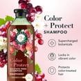 thumbnail image 3 of Herbal Essences Color + Protect Grapeseed Sulfate Free Shampoo, 13.5 fl oz, 3 of 6
