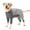 Gray, variant on Dog One Piece After Surgery Pet Surgical Recovery Suit Anti Shedding Bodysuit for Female Male Dog Long Sleeve Claming Pajamas with Legs