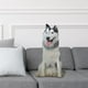 thumbnail image 5 of Juguete de Peluche Perro Husky Siberiano Yotijar Juguetes de peluche, 5 of 7