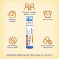 thumbnail image 5 of Boiron ColdCalm On the Go, Homeopathic Medicine for Multi-Symptom Cold Relief, Sneezing, Runny Nose, Nasal Congestion, Sore Throat, 2 x 80 Pellets, 160CT, 5 of 12