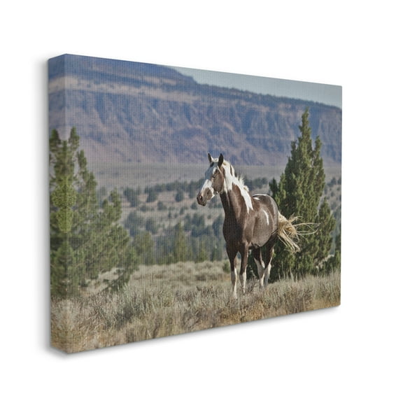 Stupell Industries Wild Horse Southwestern Landscape Canyon Cliffs, 30 x 40, Designed by Larry McFerrin