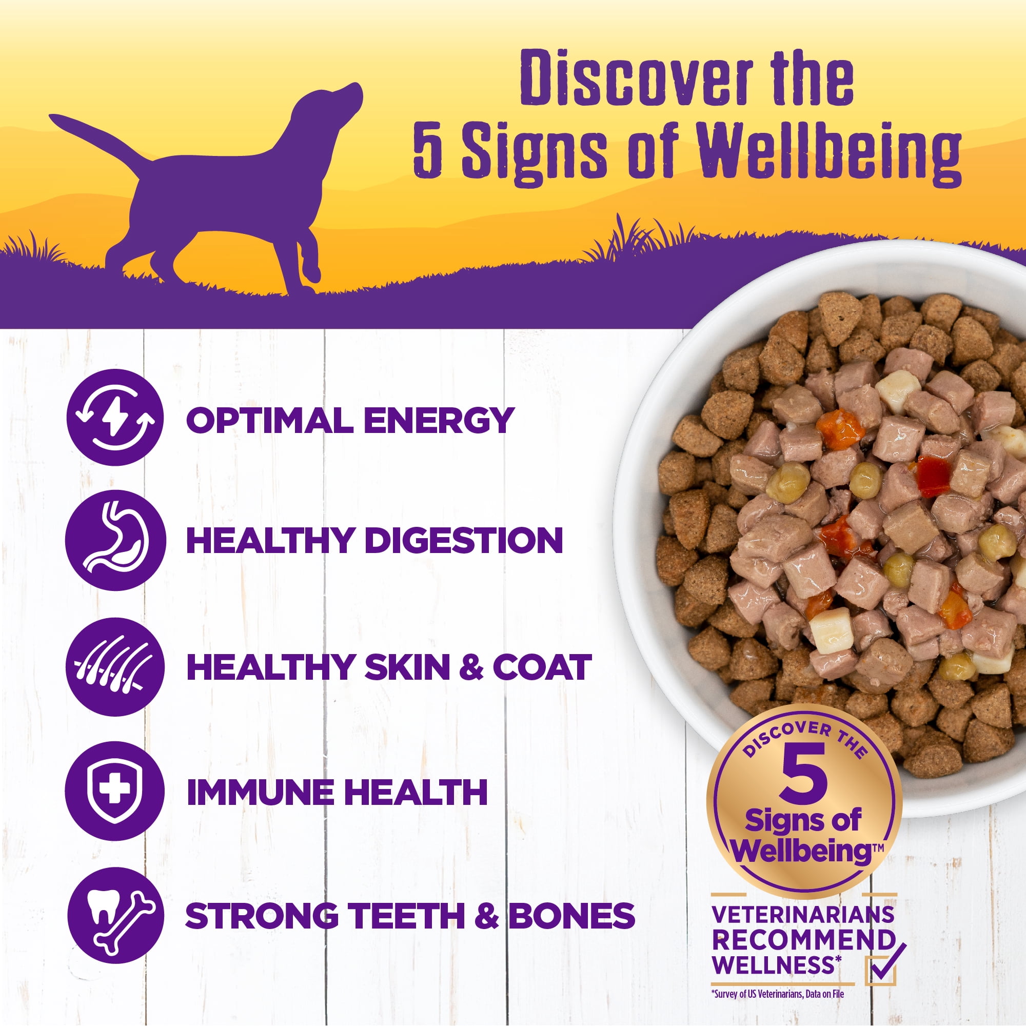Wellness Complete Health Stew Adult Canned Wet Dog Food, Grain Free, Natural, Chicken Recipe, 12.5 oz, Pack of 12 Cans