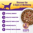 thumbnail image 3 of Wellness Complete Health Stew Adult Canned Wet Dog Food, Grain Free, Natural, Chicken Recipe, 12.5 oz, Pack of 12 Cans, 3 of 7