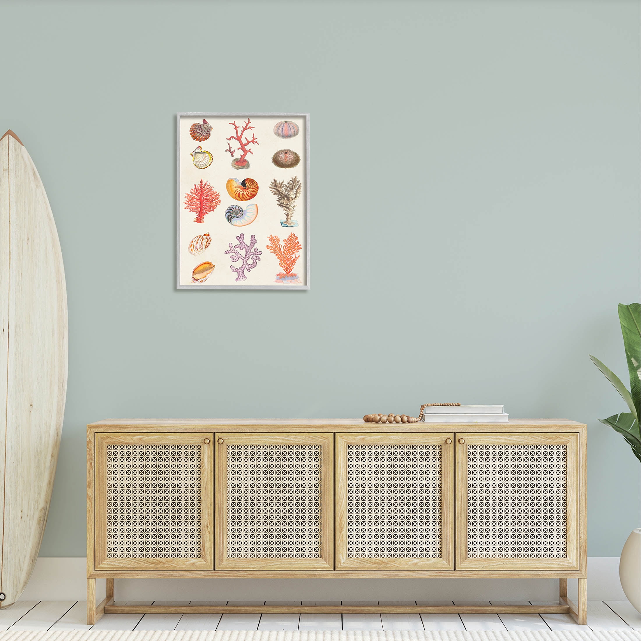 Stupell Industries Various Sea Life Nautical Latin Study Graphic Art Gray Framed Art Print Wall Art, Design by Vision Studio