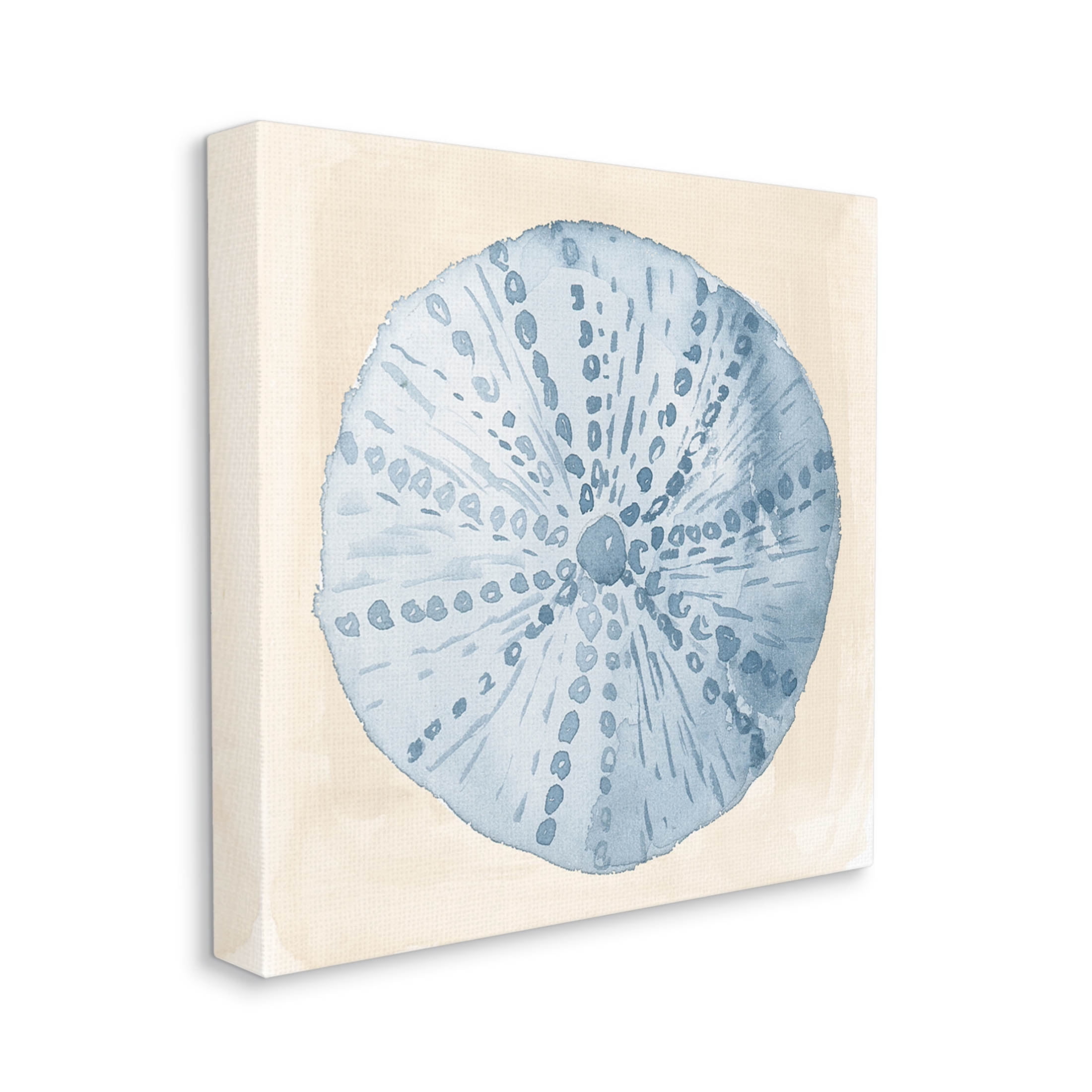 Nautical Sea Life Round Shell Animals & Insects Graphic Art Gallery Wrapped Canvas Print Wall Art