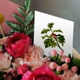 thumbnail image 3 of 3drose, Sprig of Holly Christmas Red Berry, 6 Greeting Cards with Envelopes, 3 of 7