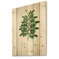 thumbnail image 2 of Designart 'Ancient Plant Life XX' Farmhouse Print on Natural Pine Wood, 2 of 5