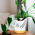 thumbnail image 4 of Self-Watering Plastic Flower Pot, Easy-Care Lazy Gardener Flower Pot with Water Reservoir Planter for Indoor and Outdoor Plants, Personalized Gardening Container for Roses and Houseplants, 4 of 6