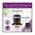 thumbnail image 5 of Aceite esencial NOW Nuez moscada 30 ml 100% puro vegano energizante, 5 of 5