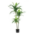 thumbnail image 5 of The Mod Greenhouse Artificial Dracaena Plant in Black Matte Planter's Pot Variegated - 48, 5 of 5