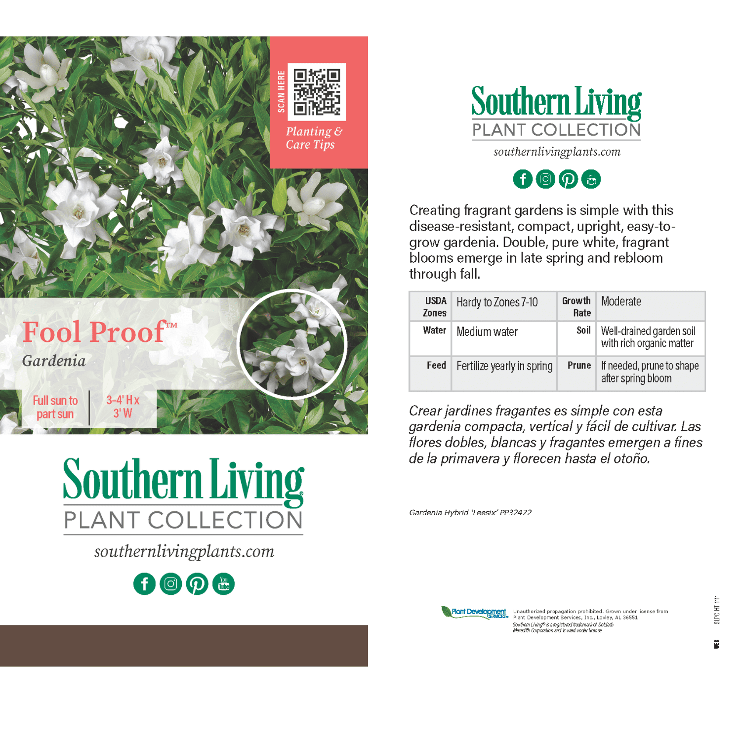 Southern Living Fool Proof Gardenia Live Shrub in 2-Gallon Grower Pot