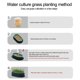 thumbnail image 3 of Pet Cat Grass Hydroponic Growing para Facilitar El Crecimiento () Azul, 3 of 9