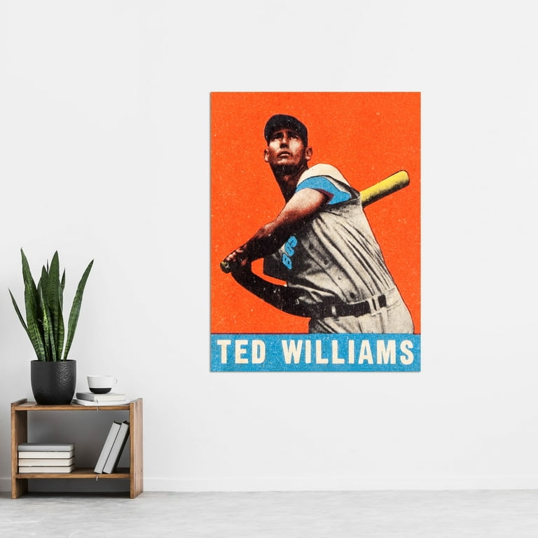 Ted Williams Legends Never Die Framed Photo Collage - 11x14 Inch Baseball Memorabilia