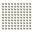 thumbnail image 2 of HOMYL 2-4pack 100x Five Pointed Star Rivets Claw Studs for Hats Shoes DIY Studded 3 Pcs, 2 of 8
