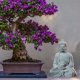 thumbnail image 5 of Estatua de Buda de resina de , de meditación en miniatura, adorno budista para mesa, oficina, decoración lpicadero, 5 of 8