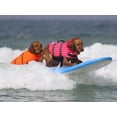 thumbnail image 2 of HAOCOO Dog Life Jacket Vest Saver Safety Swimsuit Preserver with Reflective Stripes/Adjustable Belt Dogs?Orange,S, 2 of 8