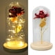 thumbnail image 3 of Cúpula de cristal y rosa roja, rosa en cúpula de cristal que ilumina la rosa eterna, rosa encantada, regalos románticos, resistentes y resistentes, 3 of 8
